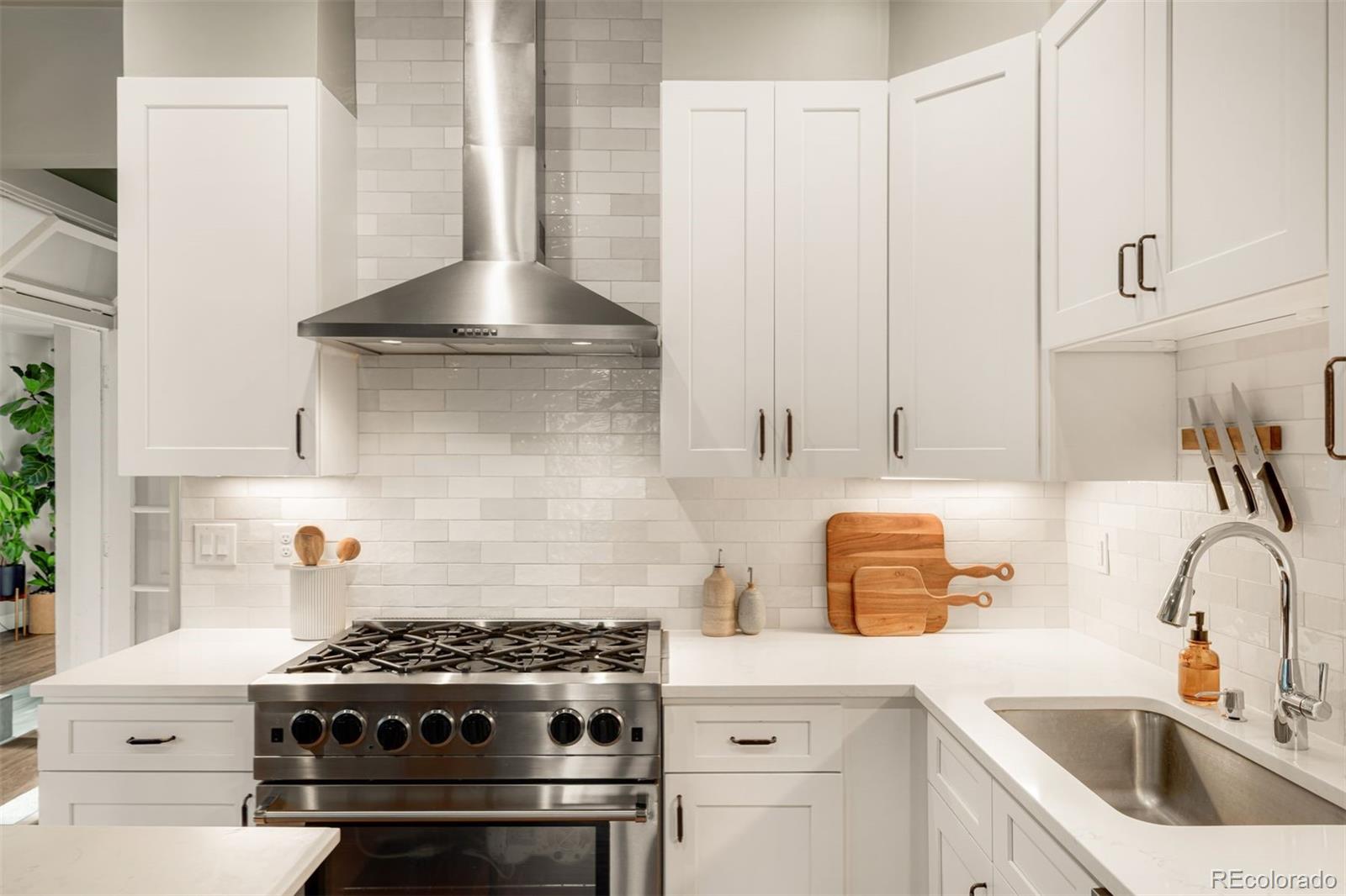 3125 Meade Street Denver, CO 80211 - Photo 3 of 41