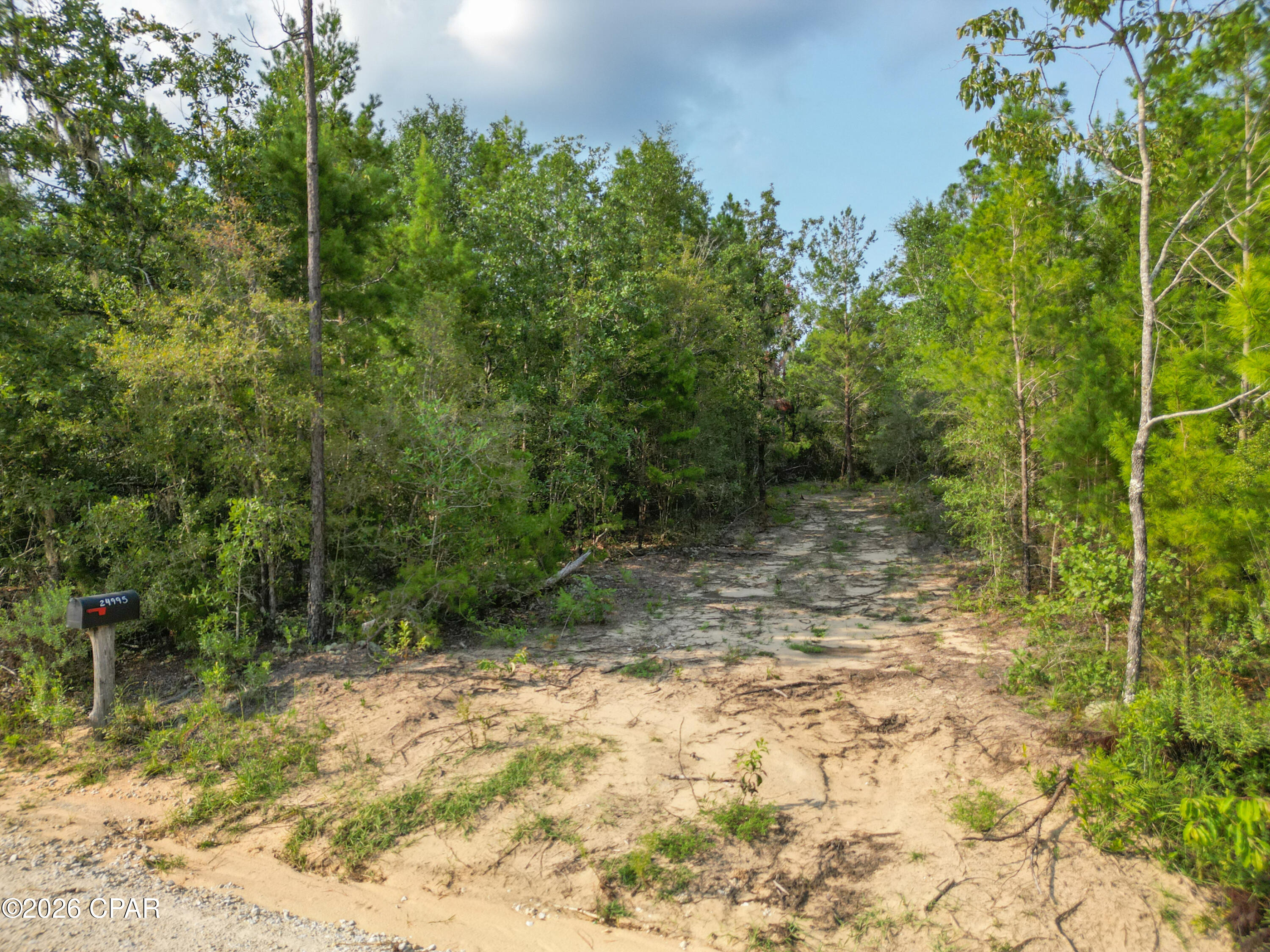 24995 Northwest Toole Road Marianna, FL 32448 - Photo 7 of 13 Gallery Image 7