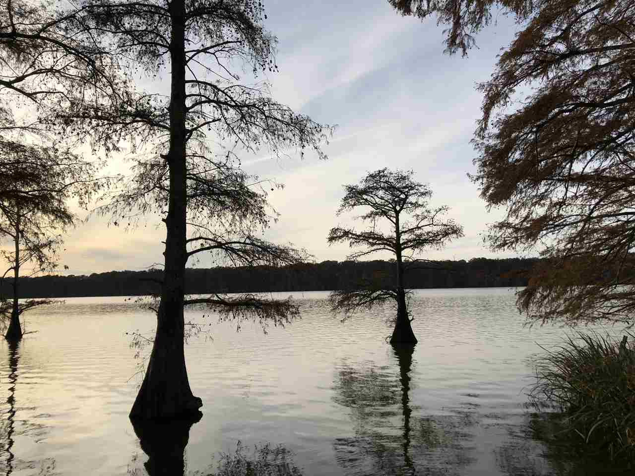 0 Lake Bolivar Road Benoit, MS 38725 - Photo 1 of 49 Photo 1