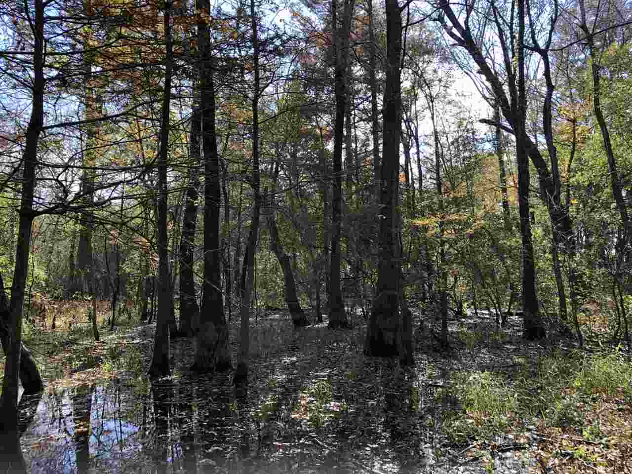 0 Lake Bolivar Road Benoit, MS 38725 - Photo 11 of 49 Photo 11