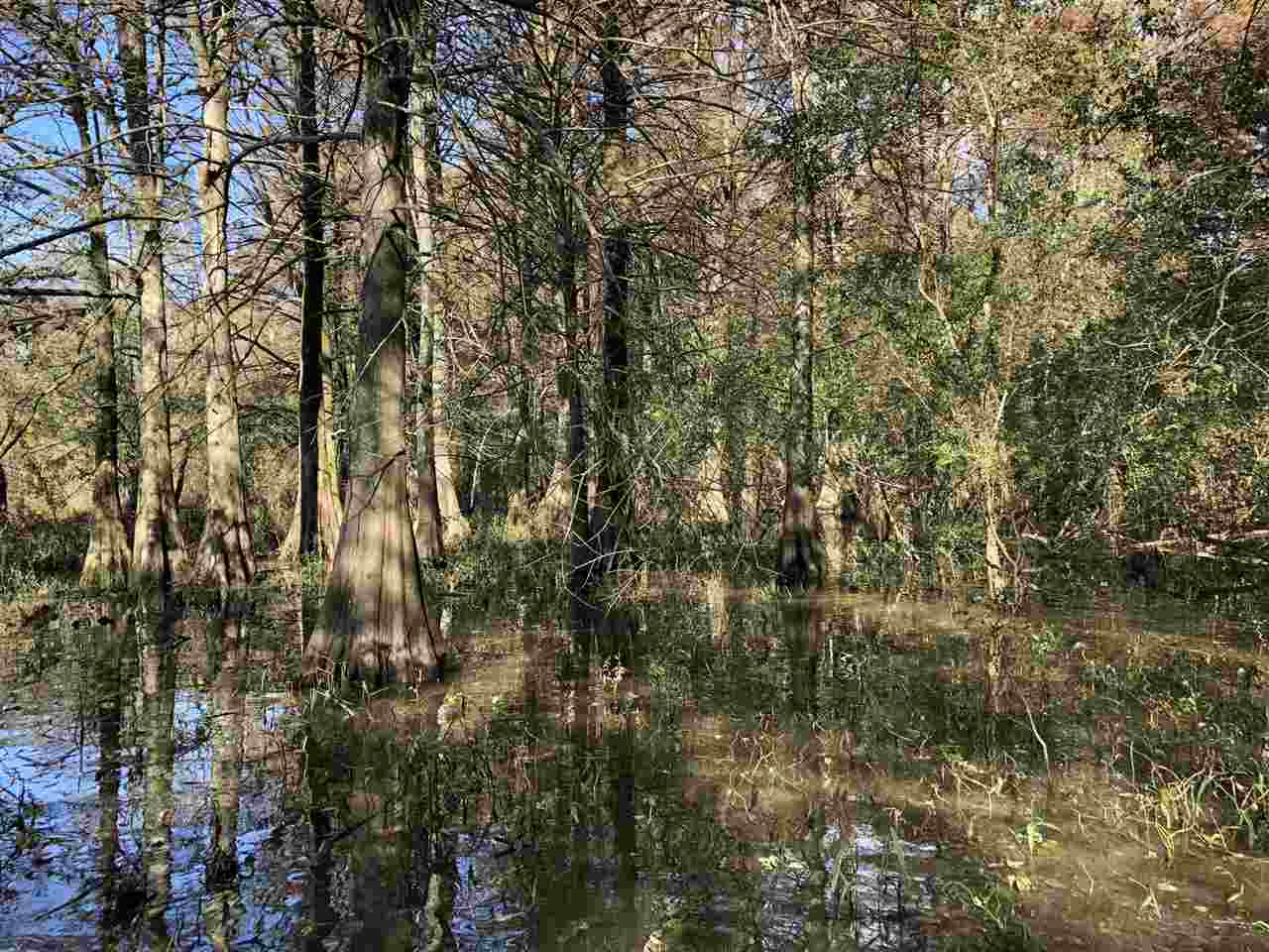 0 Lake Bolivar Road Benoit, MS 38725 - Photo 13 of 49 Photo 13