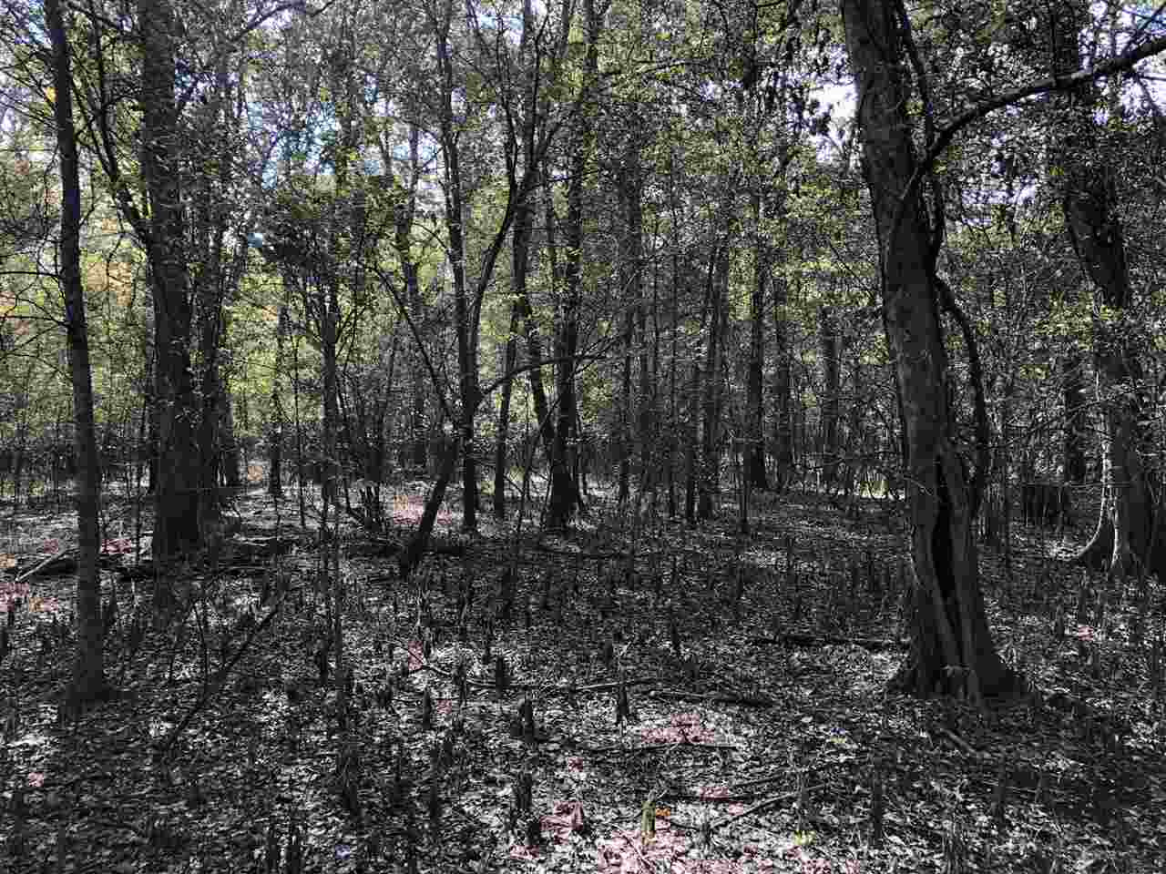 0 Lake Bolivar Road Benoit, MS 38725 - Photo 20 of 49 Photo 20
