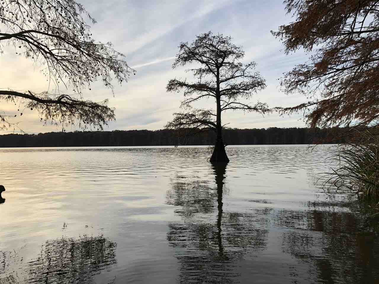 0 Lake Bolivar Road Benoit, MS 38725 - Photo 2 of 49 Photo 2