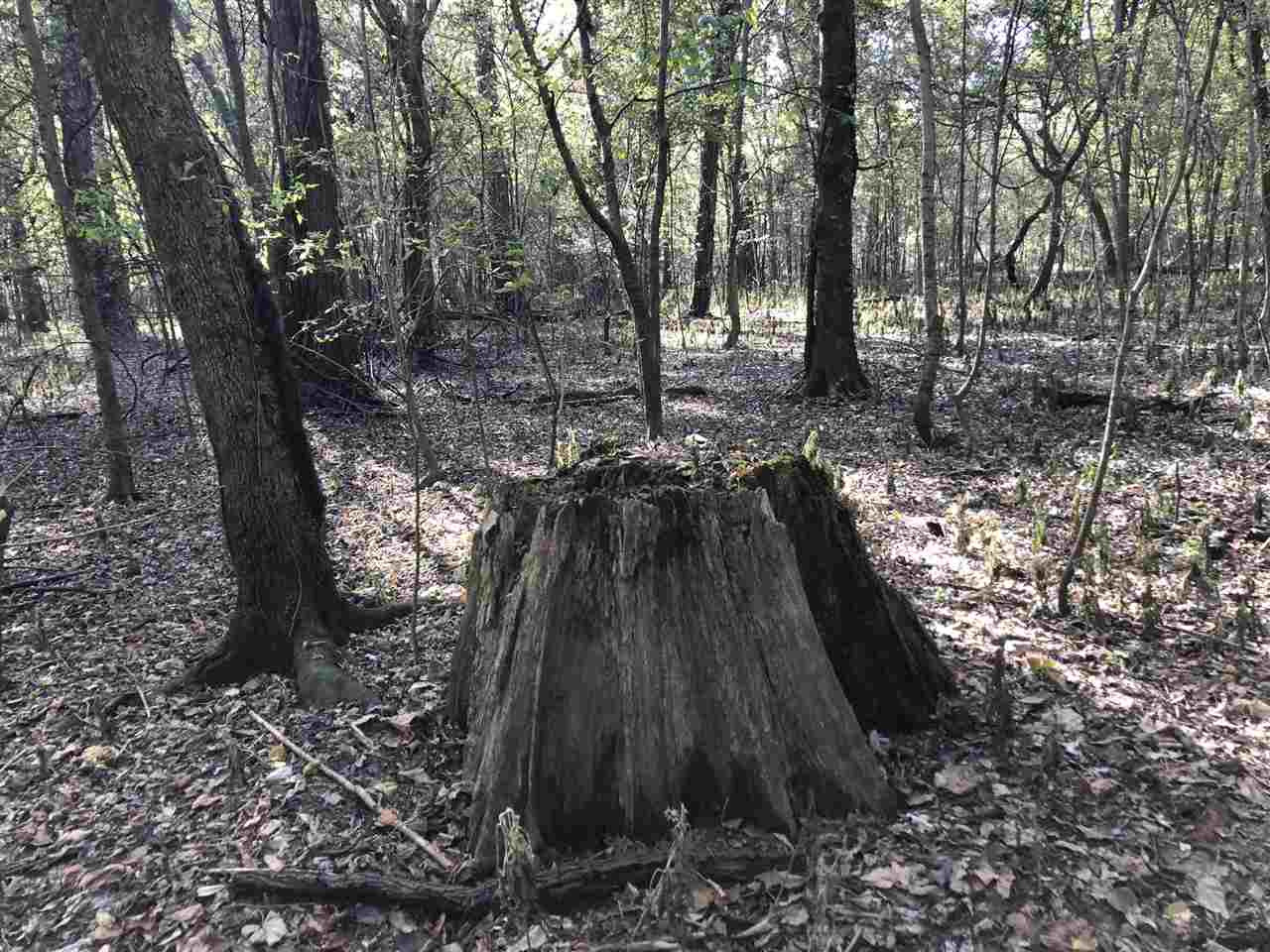0 Lake Bolivar Road Benoit, MS 38725 - Photo 22 of 49 Photo 22