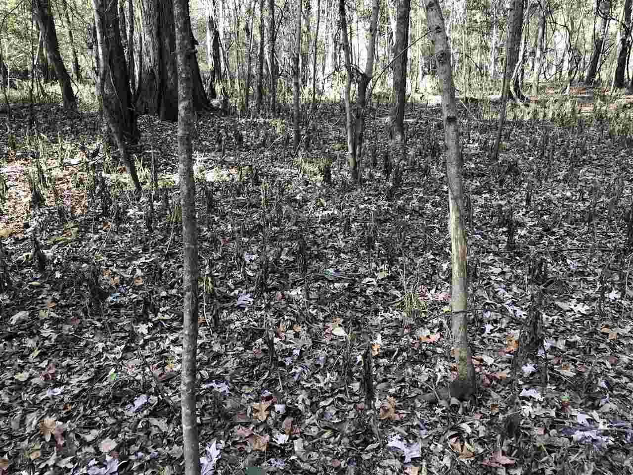 0 Lake Bolivar Road Benoit, MS 38725 - Photo 23 of 49 Photo 23