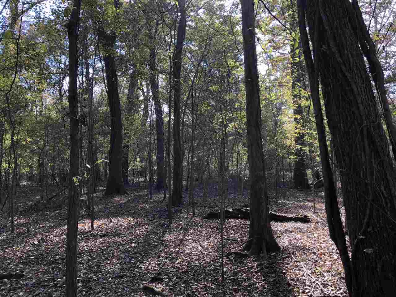 0 Lake Bolivar Road Benoit, MS 38725 - Photo 26 of 49 Photo 26
