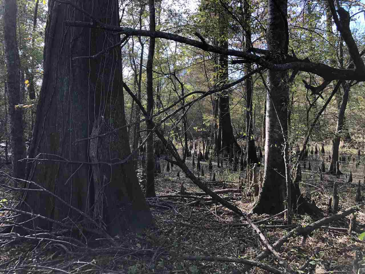 0 Lake Bolivar Road Benoit, MS 38725 - Photo 28 of 49 Photo 28