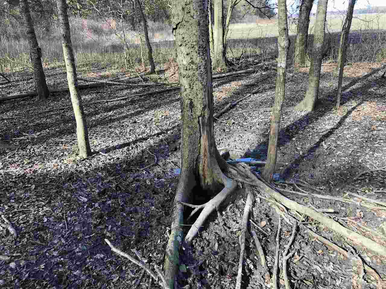 0 Lake Bolivar Road Benoit, MS 38725 - Photo 29 of 49 Photo 29