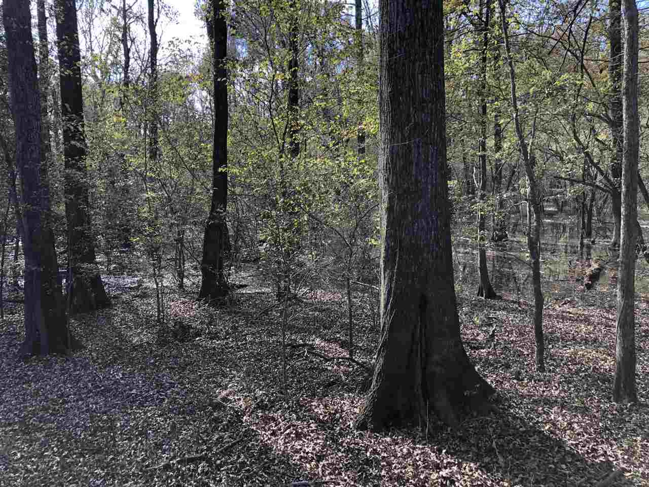 0 Lake Bolivar Road Benoit, MS 38725 - Photo 31 of 49 Photo 31