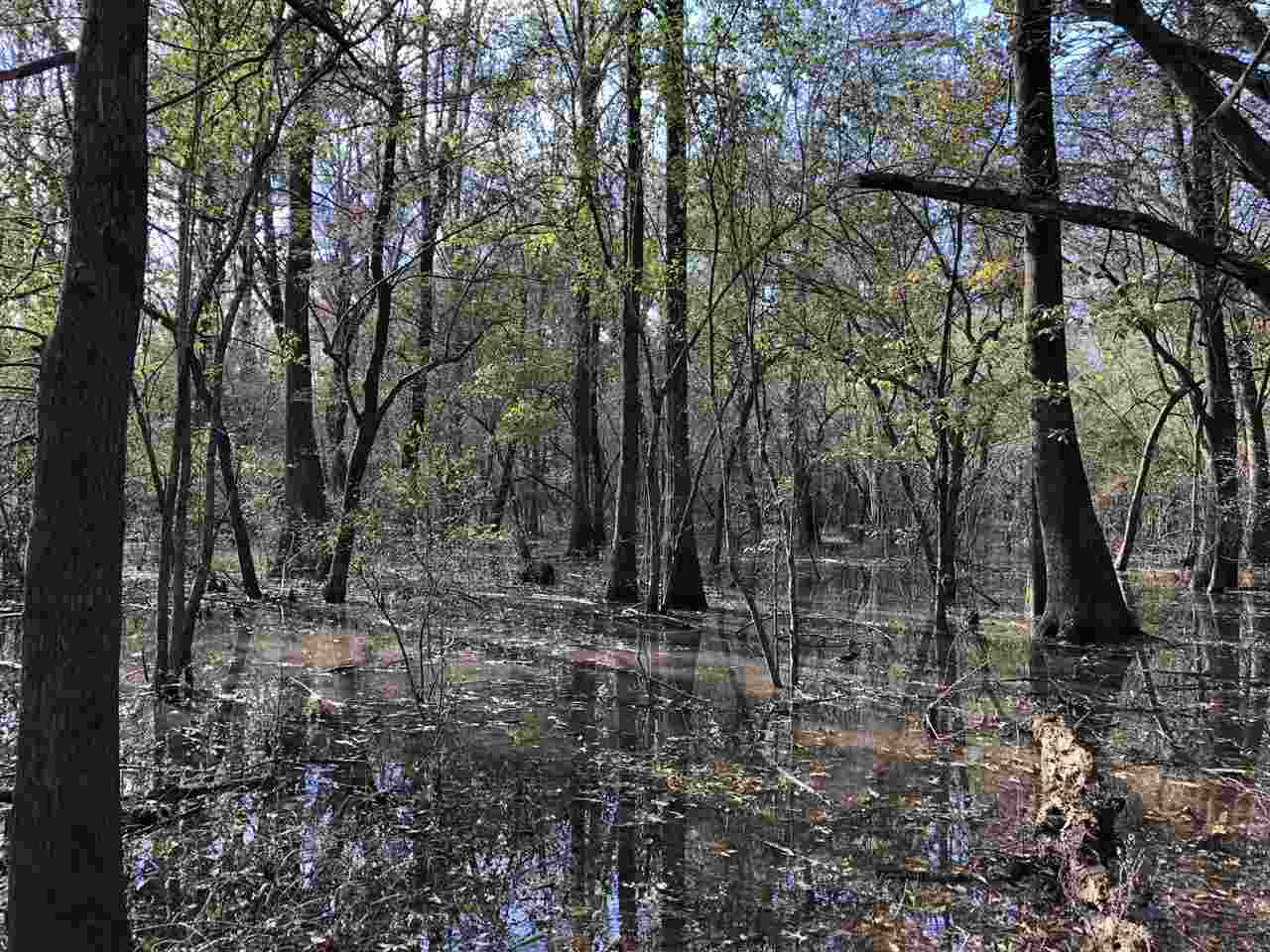 0 Lake Bolivar Road Benoit, MS 38725 - Photo 32 of 49 Photo 32