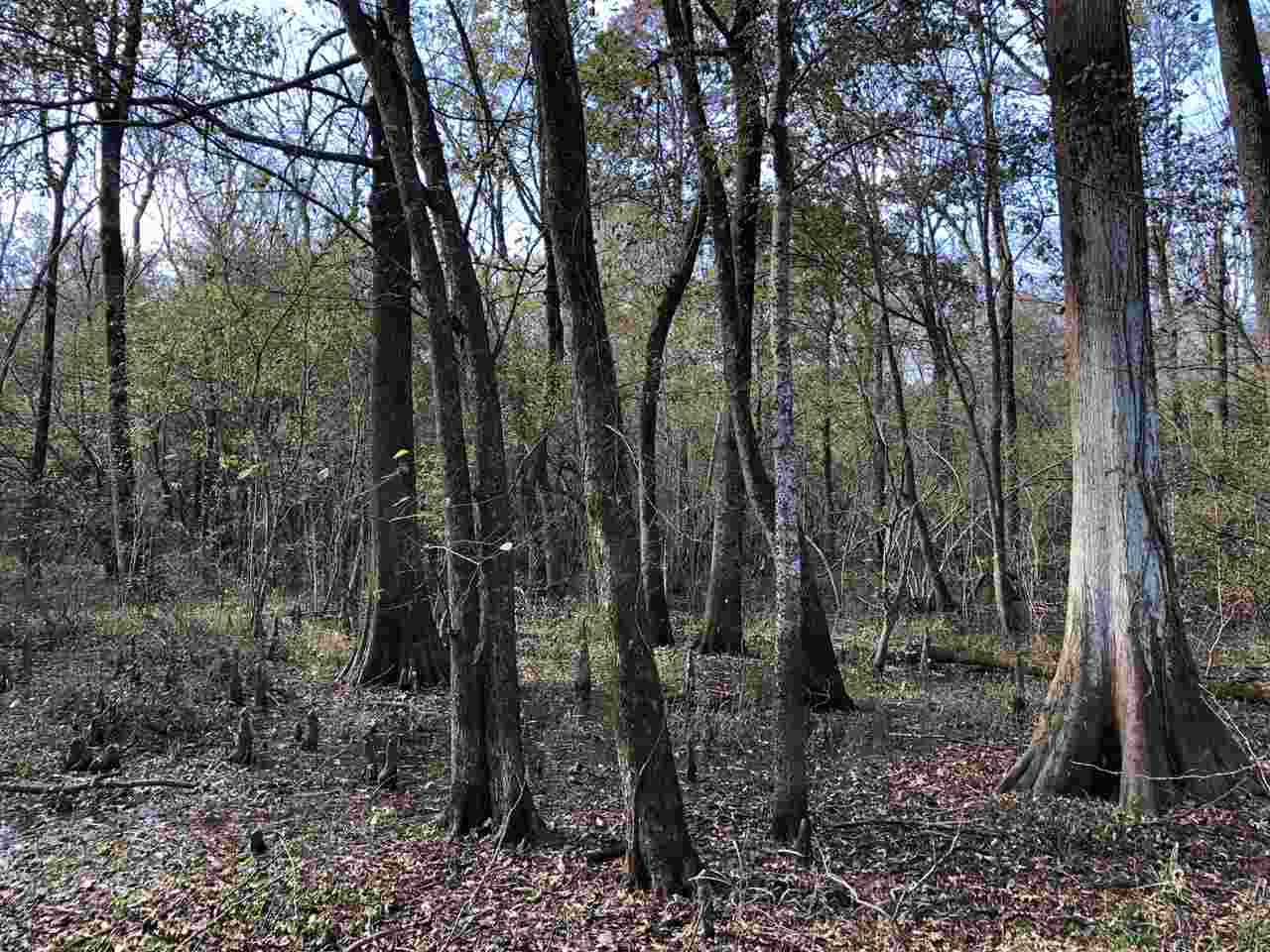 0 Lake Bolivar Road Benoit, MS 38725 - Photo 35 of 49 Photo 35
