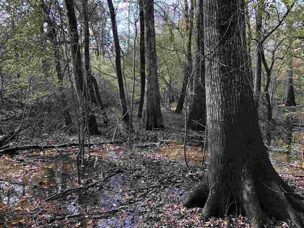 0 Lake Bolivar Road Benoit, MS 38725 - Photo 36 of 49 Photo 36