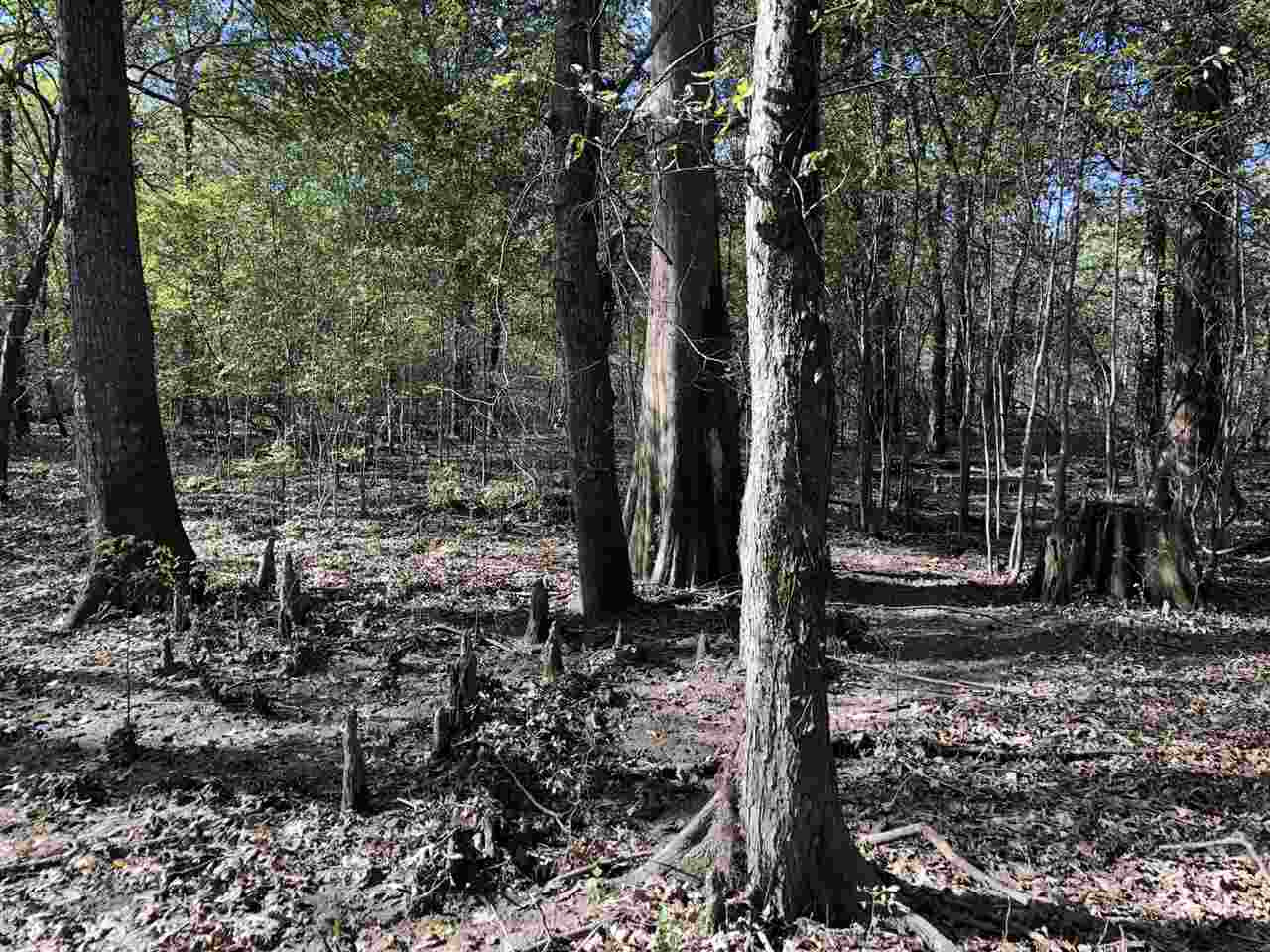 0 Lake Bolivar Road Benoit, MS 38725 - Photo 37 of 49 Photo 37