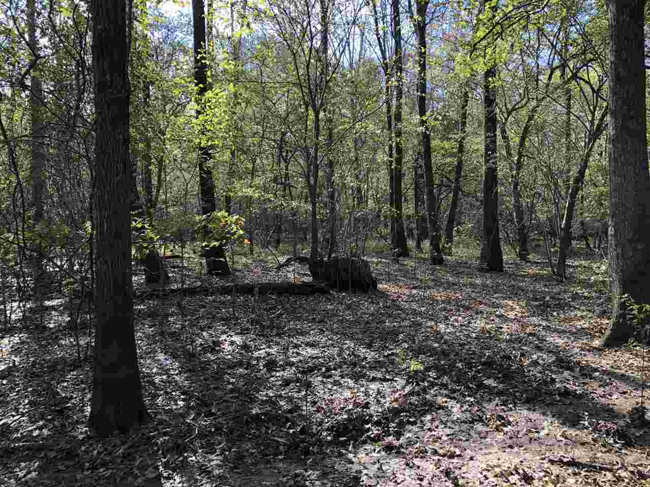 0 Lake Bolivar Road Benoit, MS 38725 - Photo 38 of 49 Photo 38