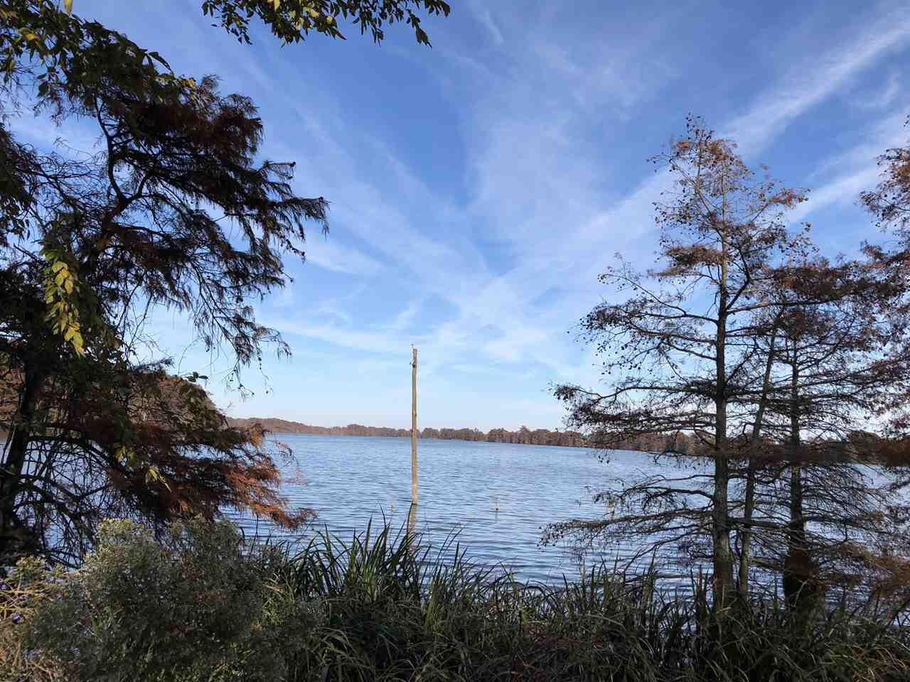 0 Lake Bolivar Road Benoit, MS 38725 - Photo 4 of 49 Photo 4