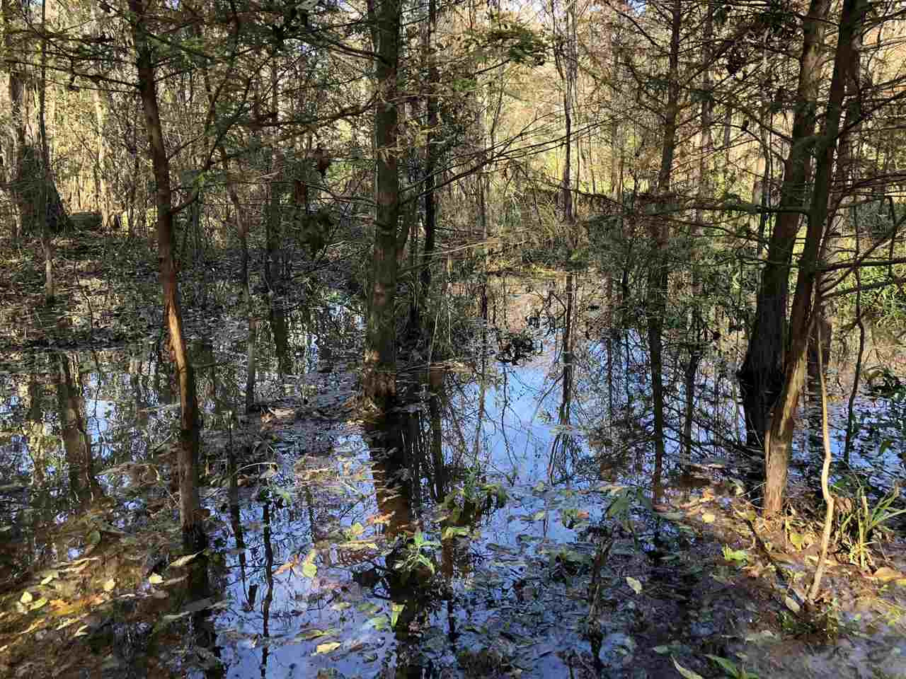 0 Lake Bolivar Road Benoit, MS 38725 - Photo 41 of 49 Photo 41