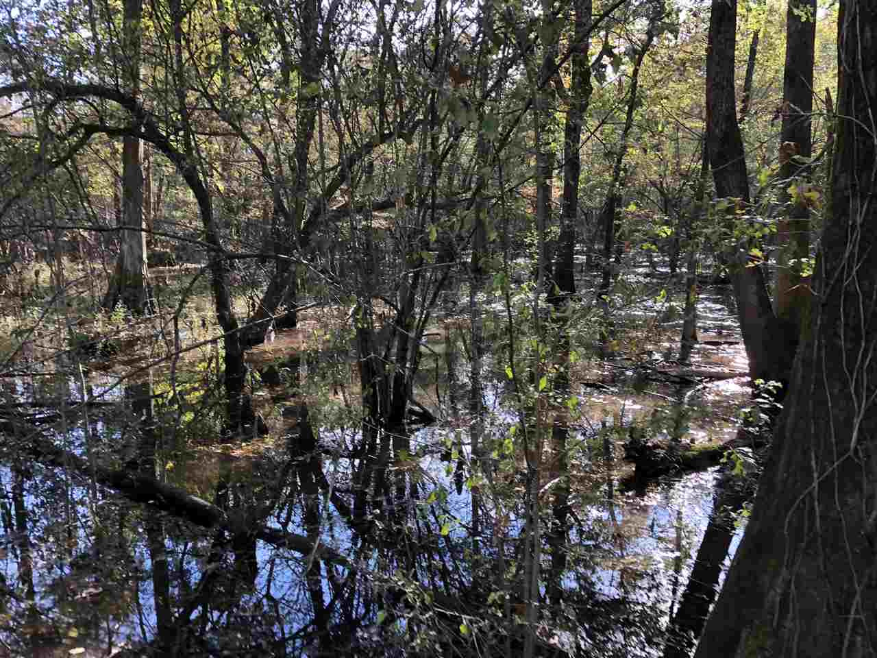 0 Lake Bolivar Road Benoit, MS 38725 - Photo 44 of 49 Photo 44