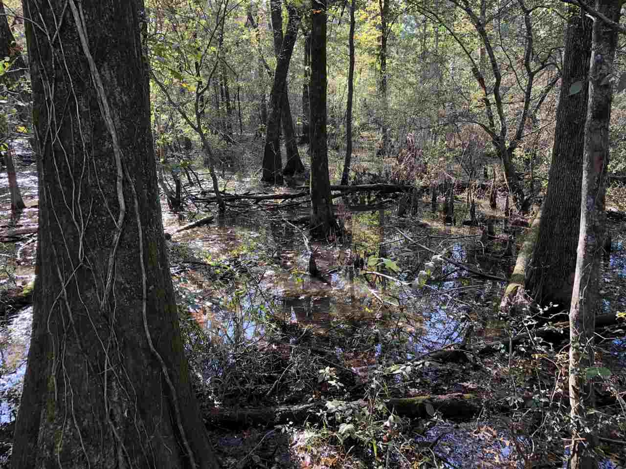 0 Lake Bolivar Road Benoit, MS 38725 - Photo 45 of 49 Photo 45