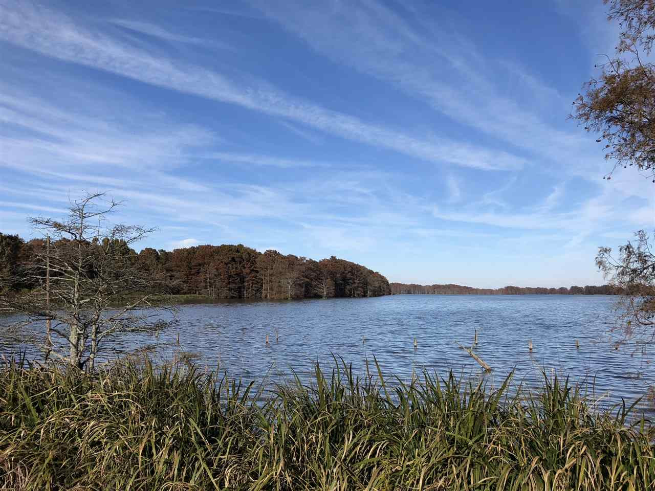0 Lake Bolivar Road Benoit, MS 38725 - Photo 5 of 49 Photo 5