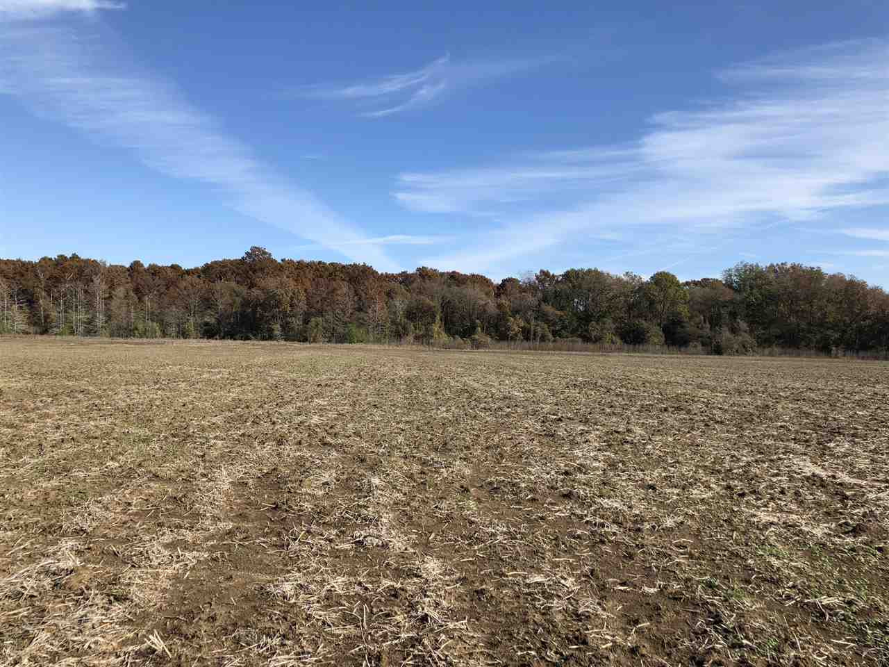 0 Lake Bolivar Road Benoit, MS 38725 - Photo 6 of 49 Photo 6