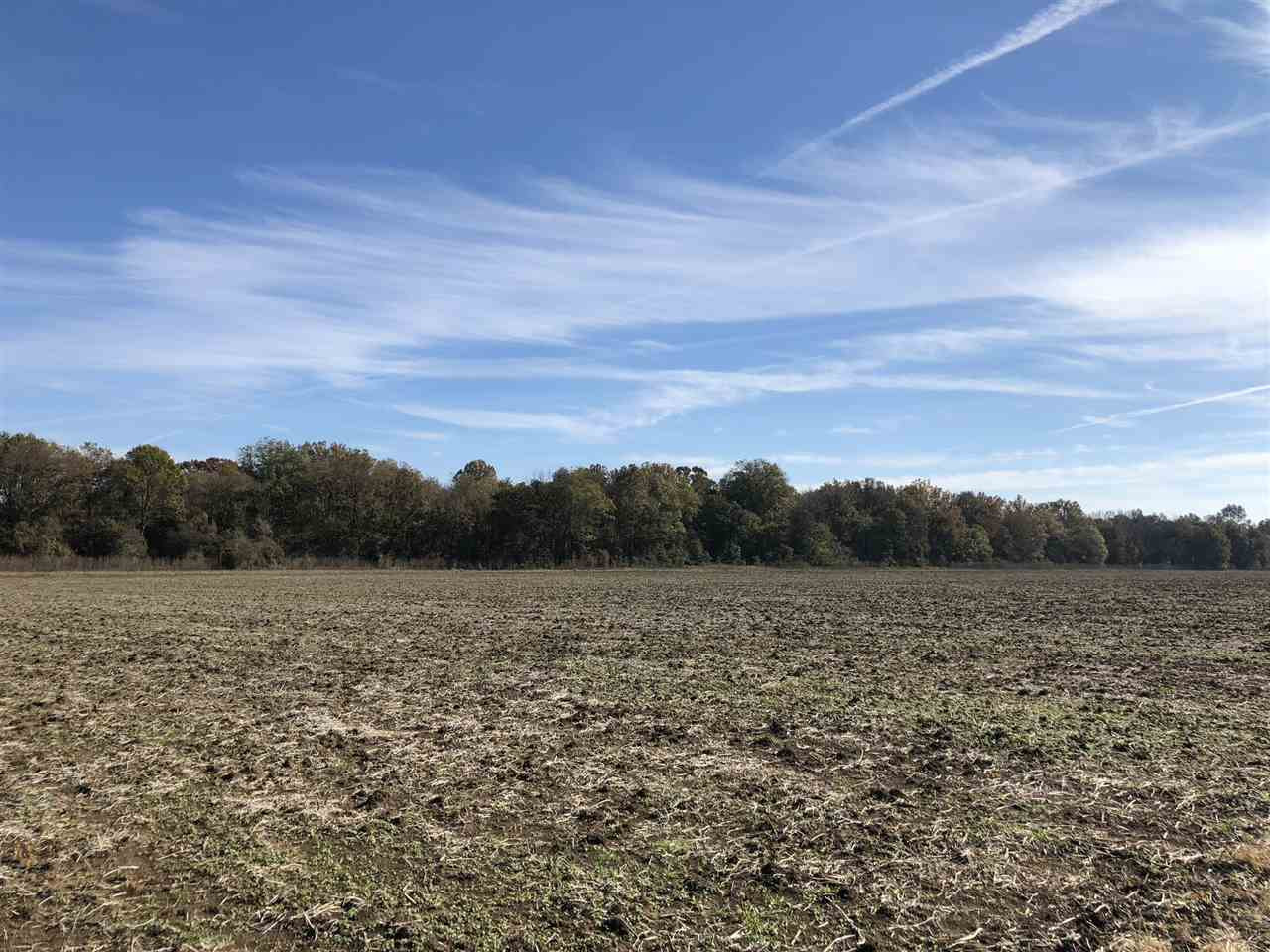 0 Lake Bolivar Road Benoit, MS 38725 - Photo 7 of 49 Photo 7