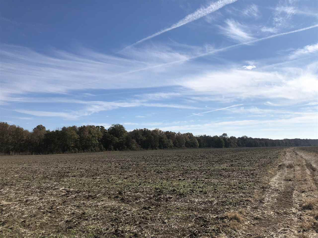 0 Lake Bolivar Road Benoit, MS 38725 - Photo 8 of 49 Photo 8