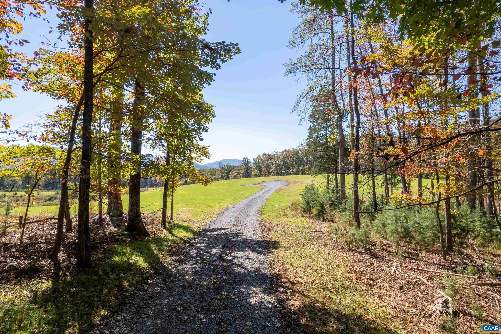 7337-4b Dick Woods Road Afton, VA 22920 - Photo 25 of 36