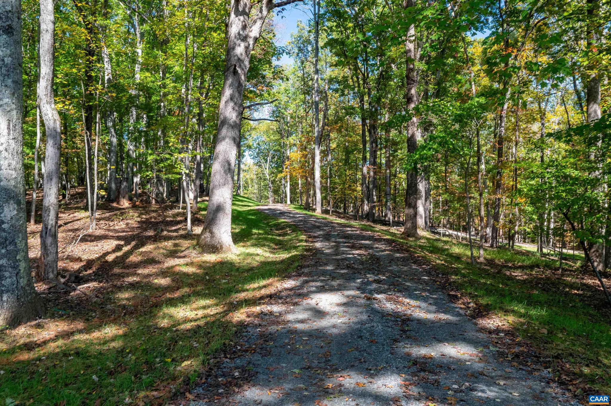 7337-4b Dick Woods Road Afton, VA 22920 - Photo 26 of 36