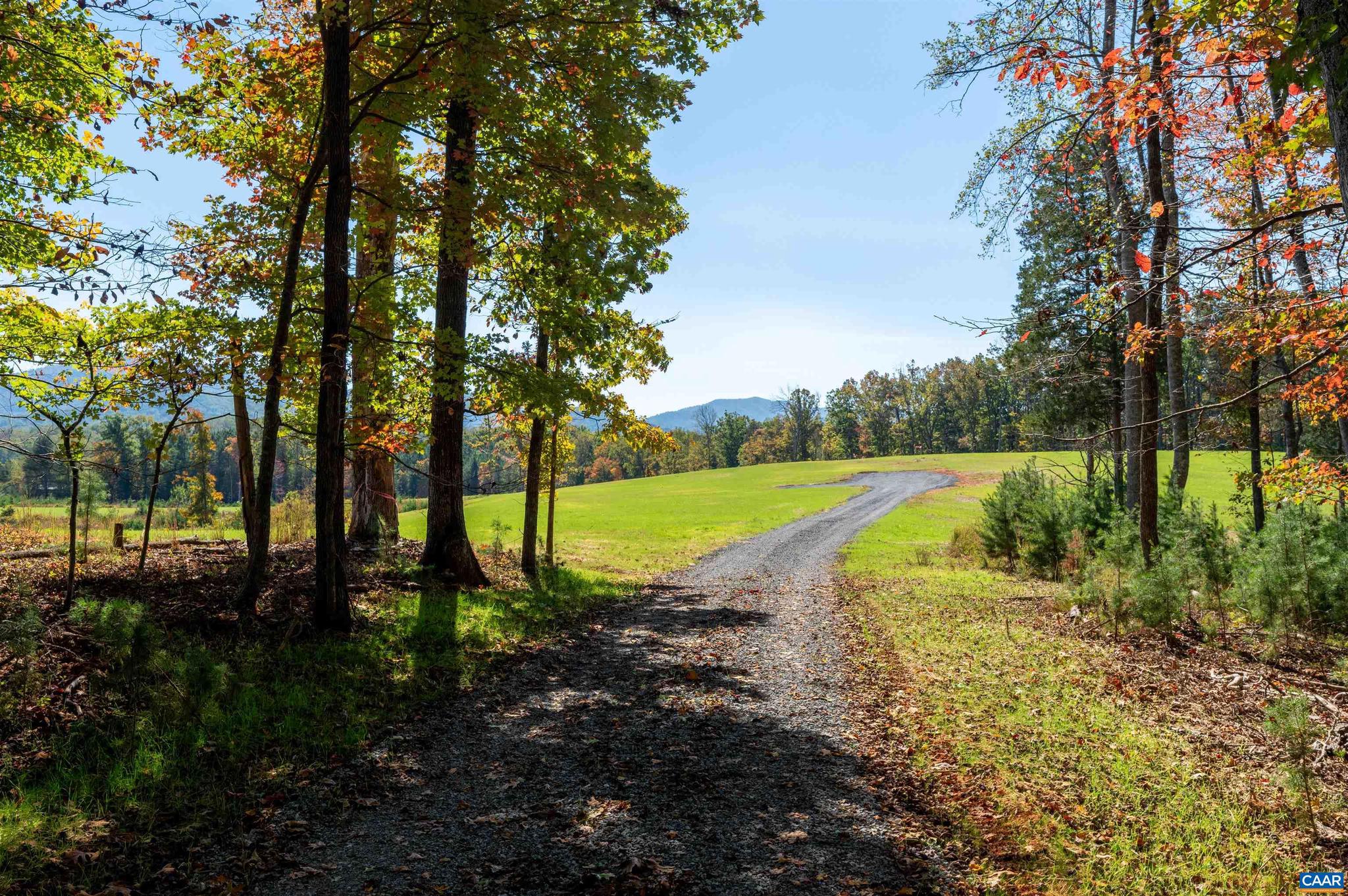 7337-4b Dick Woods Road Afton, VA 22920 - Photo 27 of 36