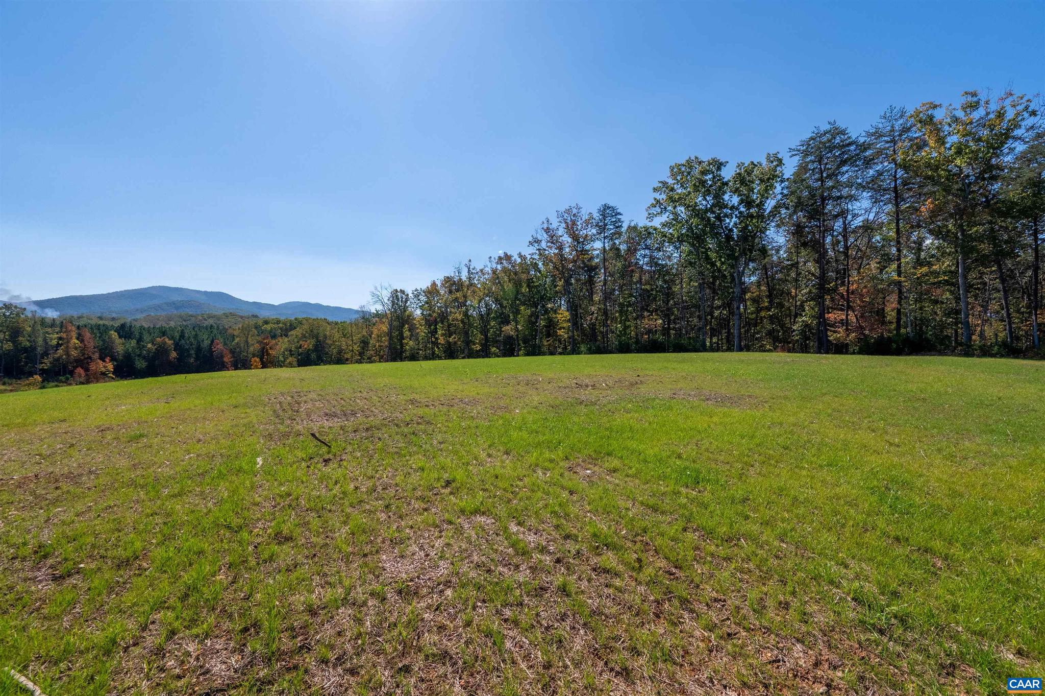 7337-4b Dick Woods Road Afton, VA 22920 - Photo 32 of 36