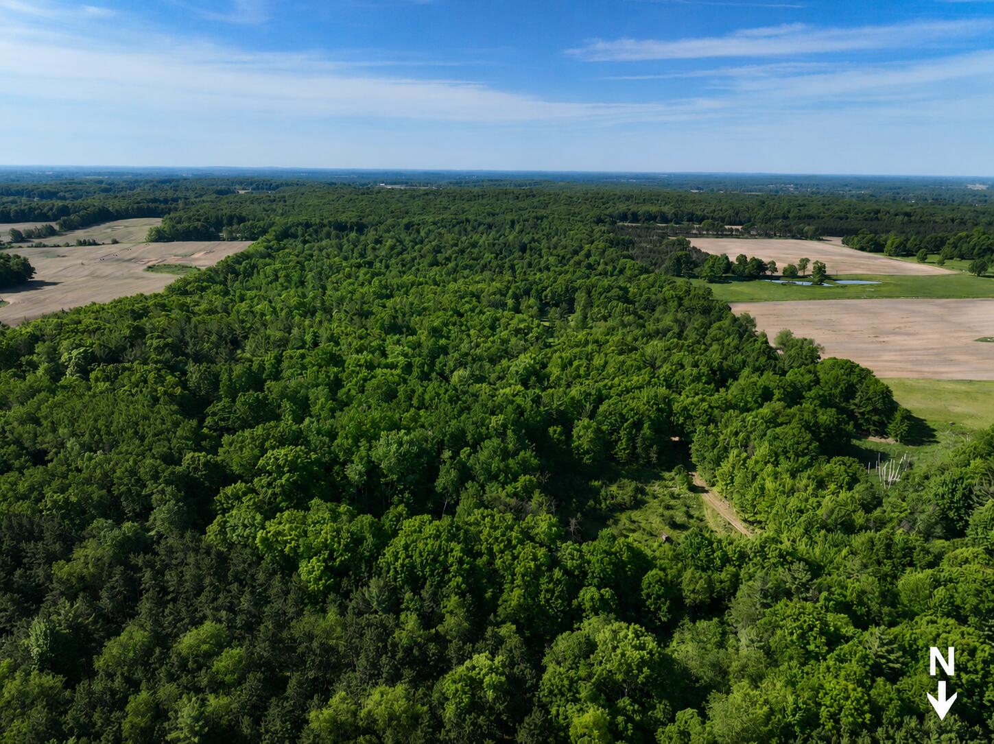 3685 Cypress Road Blanchard, MI 49310 - Photo 15 of 32 North to Bottom (3)