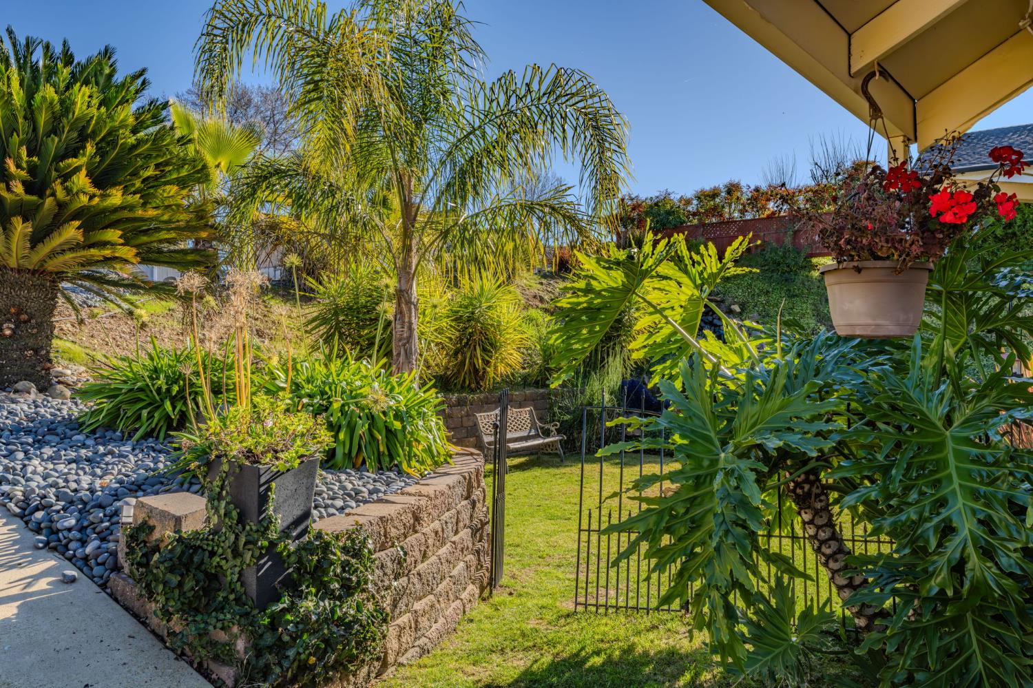 155 Hillside Place Jackson, CA 95642 - Photo 38 of 65