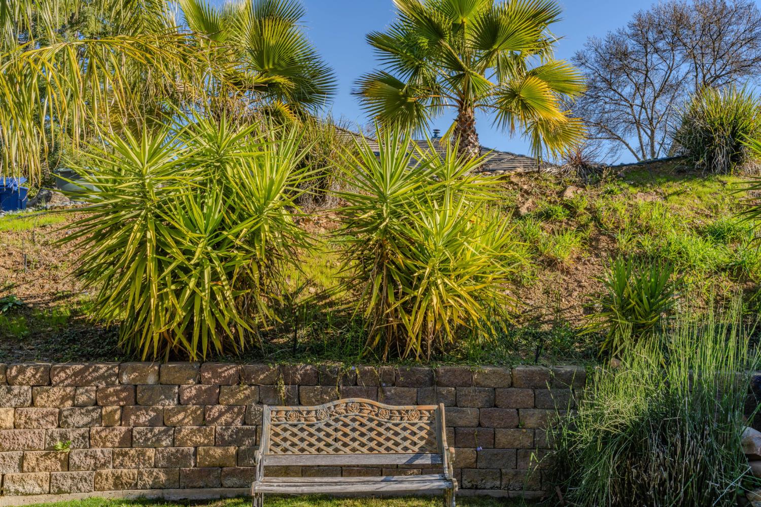 155 Hillside Place Jackson, CA 95642 - Photo 40 of 65