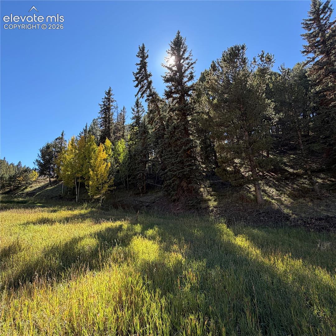 535 Willow Road Divide, CO 80814 - Photo 7 of 20 Gallery Image 7