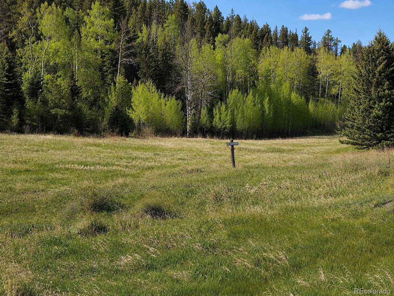 1 Co Road Westcliffe, CO 81252 - Photo 4 of 42 Summer