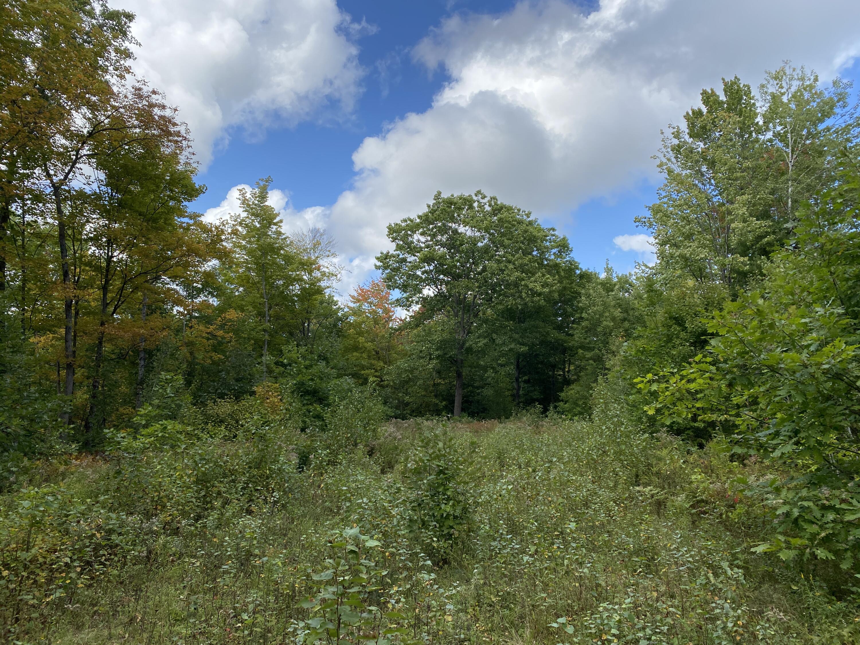 Lot 2 Stream Road Vienna, ME 04360 - Photo 1 of 9 4EB348D5-D7FD-42CF-96FA-EDACDD84DAB8