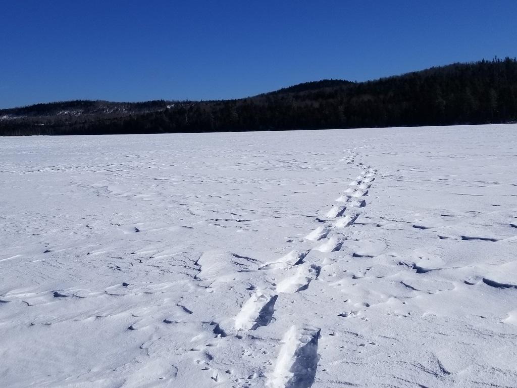 0 Scott Road West Forks, ME 04985 - Photo 13 of 15 20190219_131658