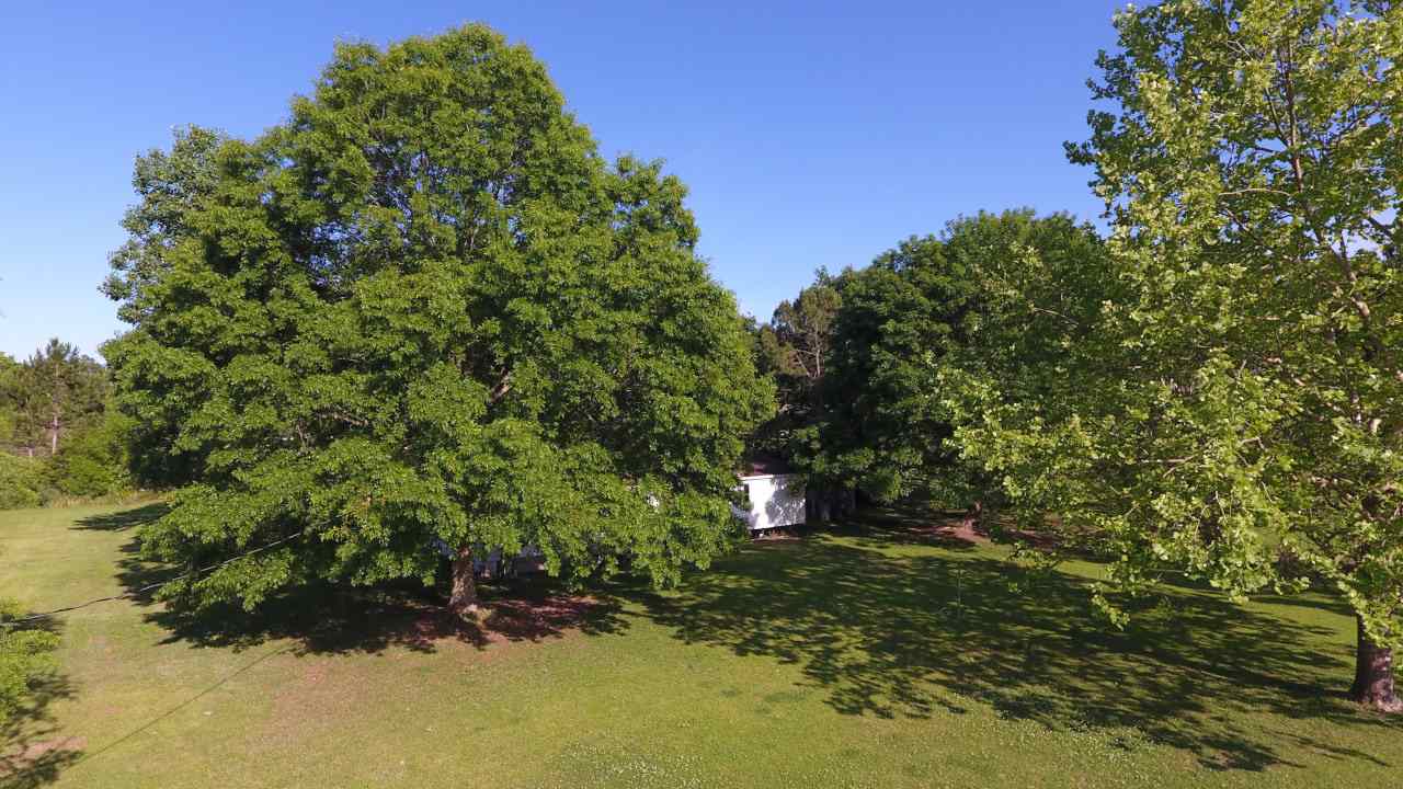 6545 County Road 19 Foley, AL 36535 - Photo 21 of 34