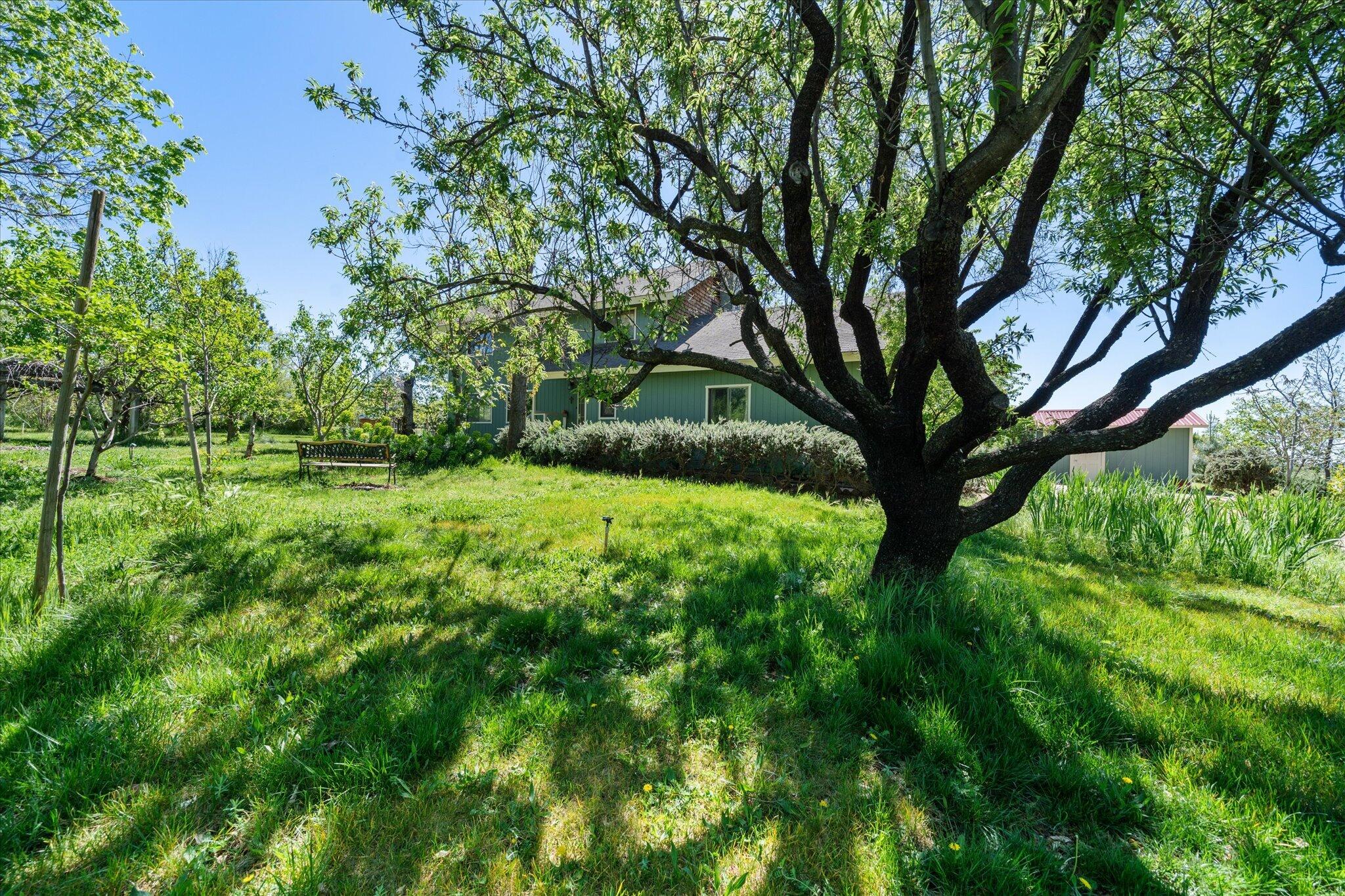32135 Rock Creek Road Manton, CA 96059 - Photo 56 of 72 56-BiggerFlow Real Estate Media-56