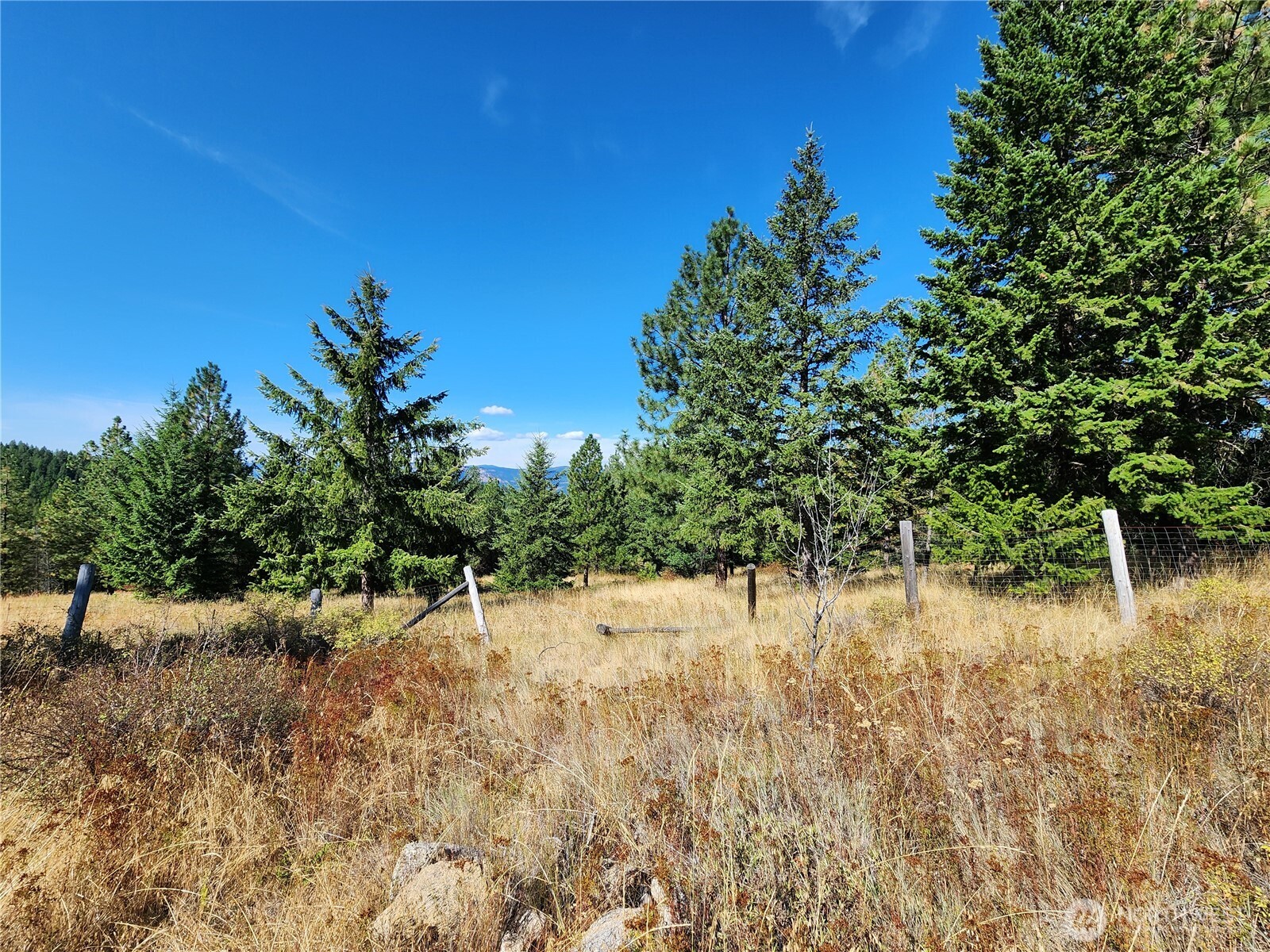 0 Sleepy Hollow Road Curlew, WA 99118 - Photo 14 of 39 a view of a yard with a tree
