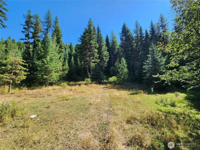 a view of a yard with a tree