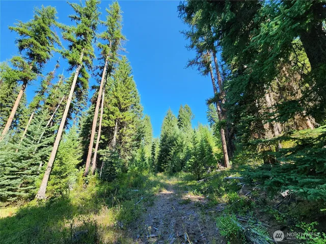 a backyard of a building