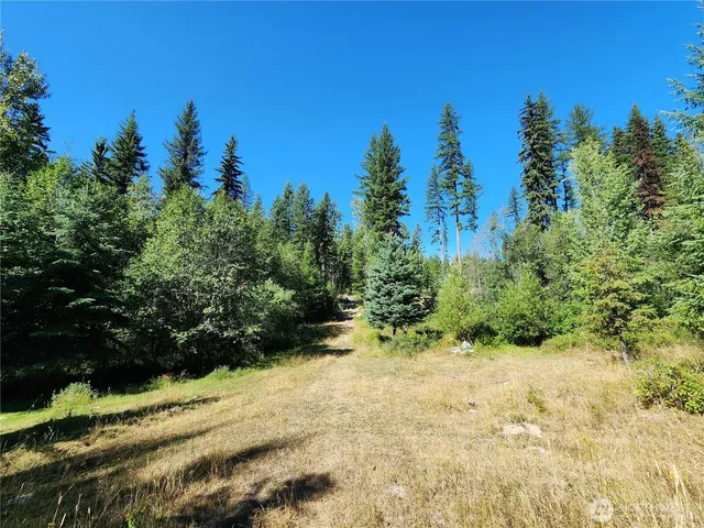 a view of a garden with trees