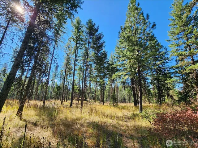a view of swimming pool and mountain in the back