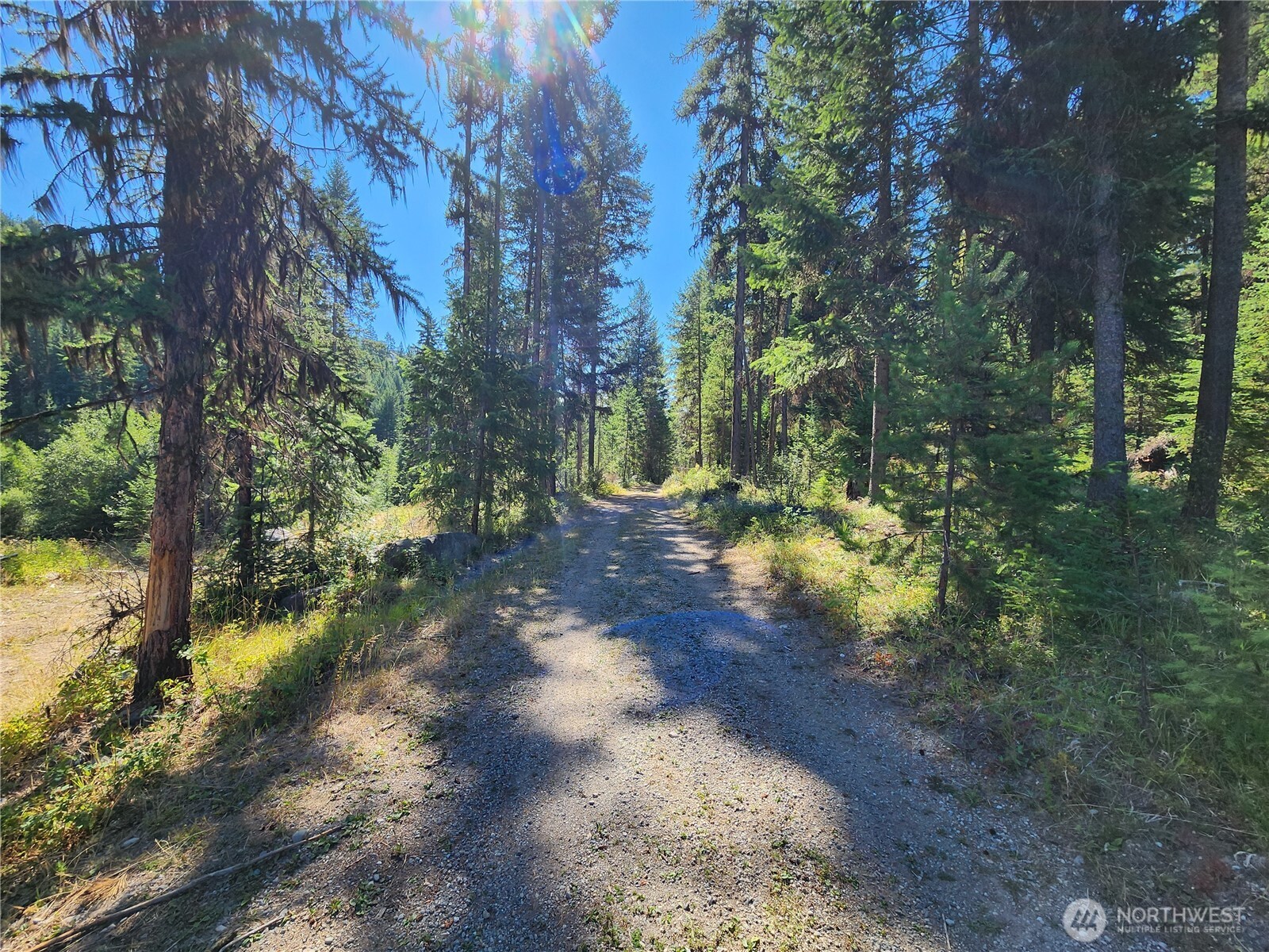 0 Sleepy Hollow Road Curlew, WA 99118 - Photo 21 of 39 a view of a yard with plants and trees