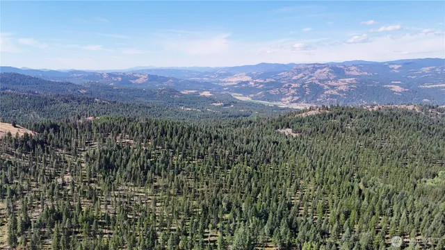 an aerial view of residential house with a yard and mountain in the background