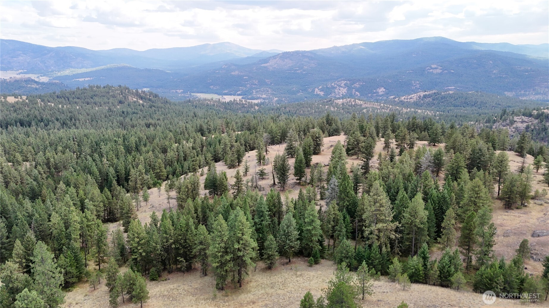 0 Sleepy Hollow Road Curlew, WA 99118 - Photo 26 of 39 an aerial view of houses covered in trees