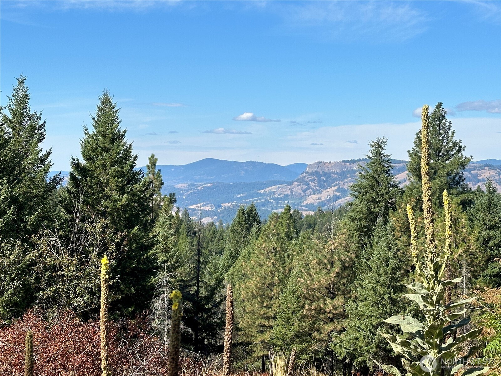 0 Sleepy Hollow Road Curlew, WA 99118 - Photo 33 of 39 a view of a city with a mountain in the background