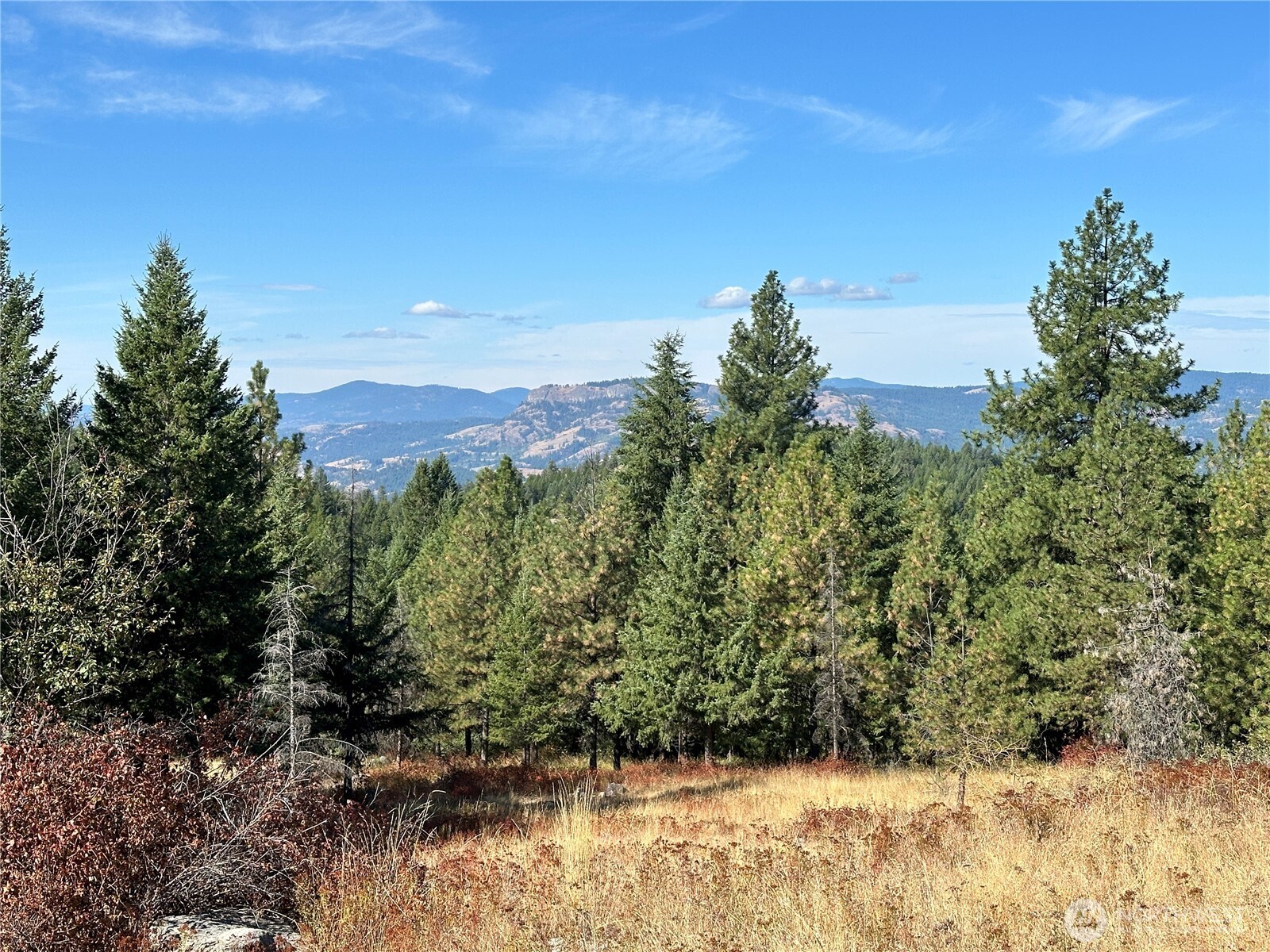 0 Sleepy Hollow Road Curlew, WA 99118 - Photo 35 of 39 a view of a yard