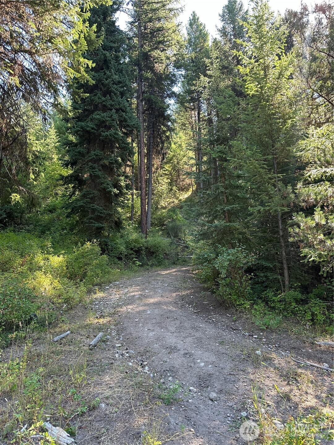 0 Sleepy Hollow Road Curlew, WA 99118 - Photo 36 of 39 a view of a forest with trees in the background